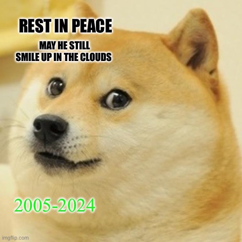 we should make a grave for it he's such a cutie | REST IN PEACE; MAY HE STILL SMILE UP IN THE CLOUDS; 2005-2024 | image tagged in memes,doge,rip,funny,dogs | made w/ Imgflip meme maker
