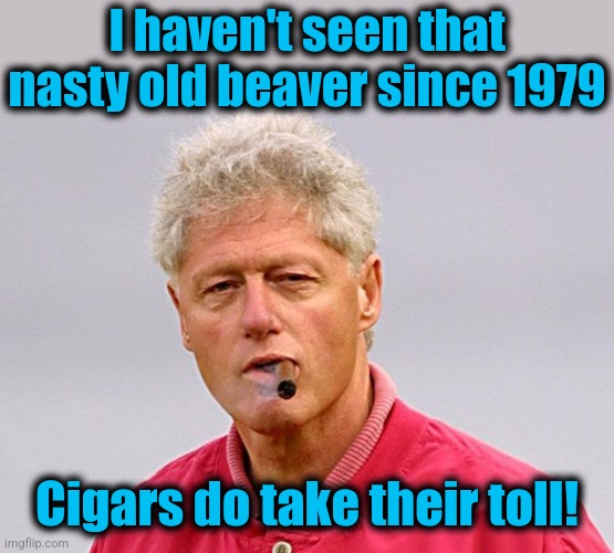 bill clinton cigar | I haven't seen that nasty old beaver since 1979 Cigars do take their toll! | image tagged in bill clinton cigar | made w/ Imgflip meme maker