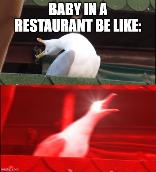 Screaming bird | BABY IN A RESTAURANT BE LIKE: | image tagged in screaming bird | made w/ Imgflip meme maker