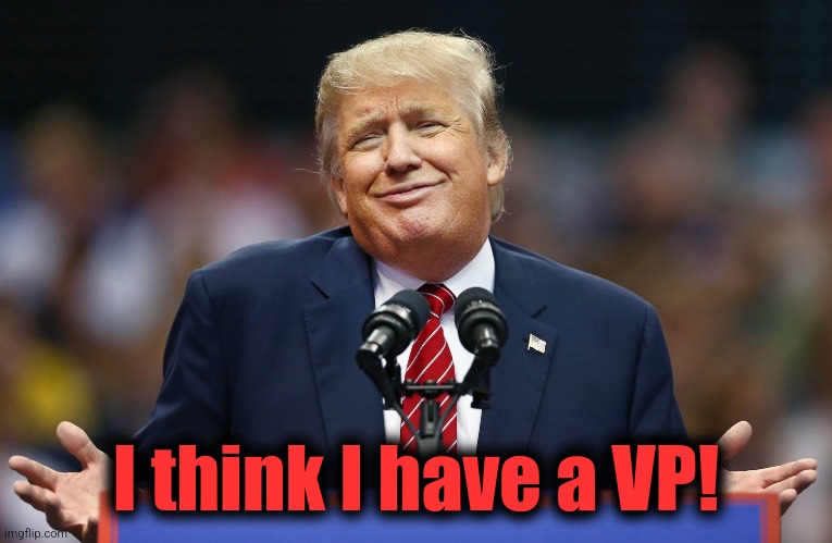 Trump Shrug | I think I have a VP! | image tagged in trump shrug | made w/ Imgflip meme maker