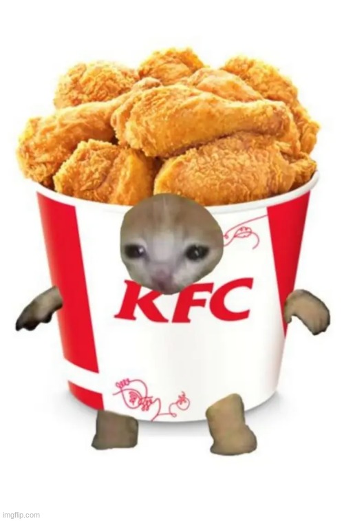 kfc cat :3 | image tagged in cats,memes | made w/ Imgflip meme maker