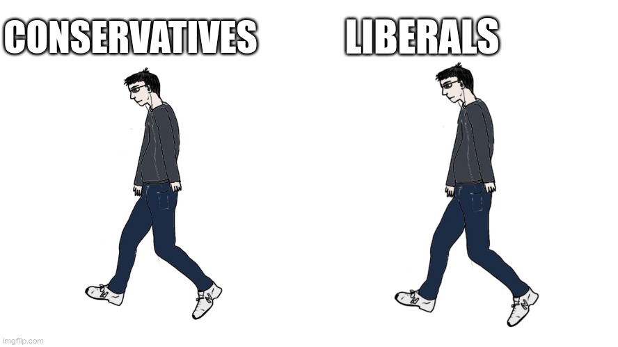 Virgin vs Virgin | LIBERALS; CONSERVATIVES | image tagged in virgin vs virgin | made w/ Imgflip meme maker
