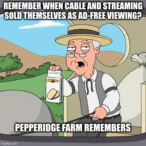 When "paid service" meant "ad free" | REMEMBER WHEN CABLE AND STREAMING SOLD THEMSELVES AS AD-FREE VIEWING? PEPPERIDGE FARM REMEMBERS | image tagged in memes,pepperidge farm remembers | made w/ Imgflip meme maker