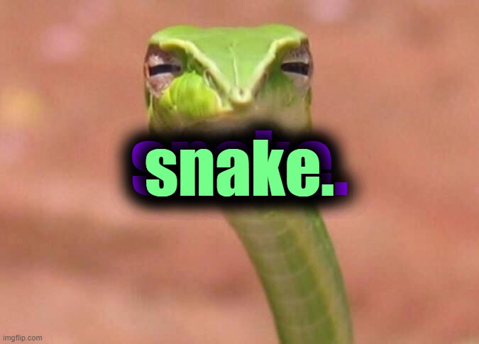 Skeptical snake | snake. snake. | image tagged in skeptical snake | made w/ Imgflip meme maker