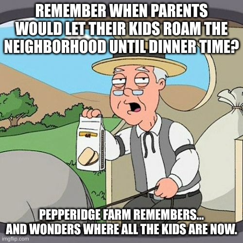 Pepperidge Farm Remembers Meme | REMEMBER WHEN PARENTS WOULD LET THEIR KIDS ROAM THE NEIGHBORHOOD UNTIL DINNER TIME? PEPPERIDGE FARM REMEMBERS... AND WONDERS WHERE ALL THE KIDS ARE NOW. | image tagged in memes,pepperidge farm remembers | made w/ Imgflip meme maker