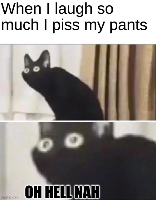 Hell nah | When I laugh so much I piss my pants; OH HELL NAH | image tagged in oh no black cat,oh hey you're reading the tags | made w/ Imgflip meme maker