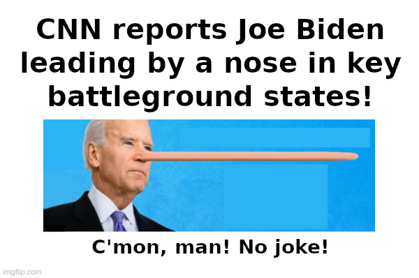 Joe Biden: Leading By A Nose! | image tagged in joe biden,senile,incompetent,corrupt,big nose,election fraud | made w/ Imgflip meme maker