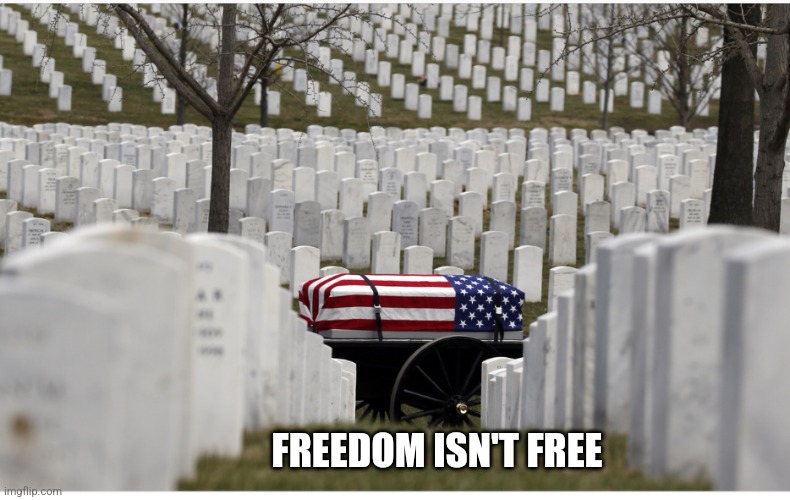 Arlington | FREEDOM ISN'T FREE | image tagged in arlington | made w/ Imgflip meme maker