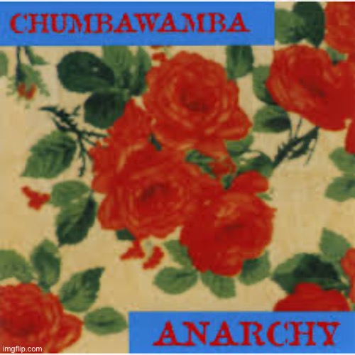 Chumbawumba Anarchy | image tagged in chumbawumba anarchy | made w/ Imgflip meme maker