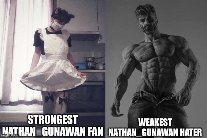 (duk: real) | STRONGEST NATHAN_GUNAWAN FAN; WEAKEST NATHAN_GUNAWAN HATER | image tagged in strongest fan vs weakest fan | made w/ Imgflip meme maker