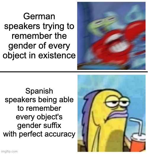 German speakers when they accidnetally say 'Die Mond' instead of 'Der Mond' 0_) | German speakers trying to remember the gender of every object in existence; Spanish speakers being able to remember every object's gender suffix with perfect accuracy | image tagged in excited vs bored,german,language,spanish,funny,foreign | made w/ Imgflip meme maker