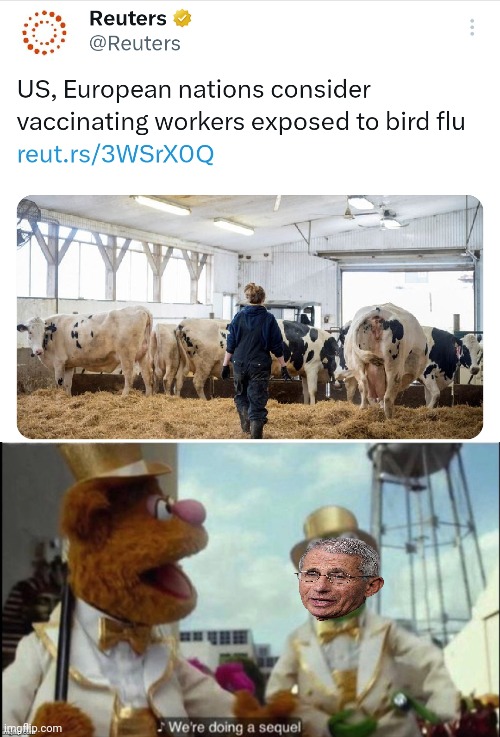 Bird Fluvid | image tagged in we are doing a sequel,virus,dr fauci,fauci | made w/ Imgflip meme maker
