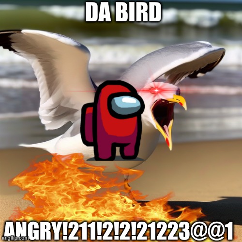 DA BIRD; ANGRY!211!2!2!21223@@1 | image tagged in angry,fire,seagull,evil,triggered | made w/ Imgflip meme maker