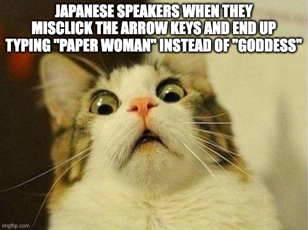 For those who don't get it: the kanji for 'Paper' and 'God' are both spelt the same when typin' | JAPANESE SPEAKERS WHEN THEY MISCLICK THE ARROW KEYS AND END UP TYPING "PAPER WOMAN" INSTEAD OF "GODDESS" | image tagged in memes,scared cat,paper woman,goddess,japanese,funny | made w/ Imgflip meme maker