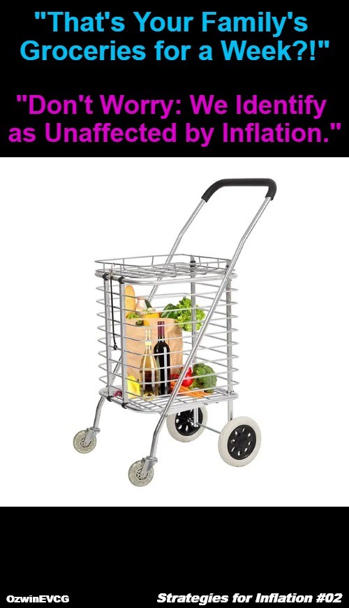 Strategies for Inflation #02 | "That's Your Family's 

Groceries for a Week?!"; "Don't Worry: We Identify 

as Unaffected by Inflation."; Strategies for Inflation #02; OzwinEVCG | image tagged in bidenomics,memes,inflation,funny,clown world,sociopolitical tragicomedy | made w/ Imgflip meme maker