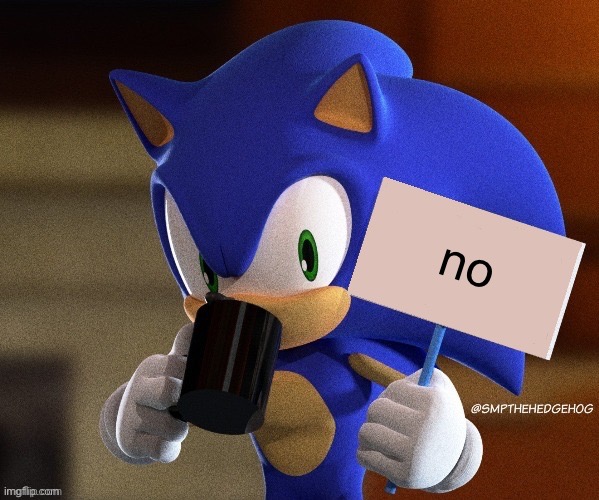 when you tell sonic to go slow | no | image tagged in sonic the hedgehog | made w/ Imgflip meme maker