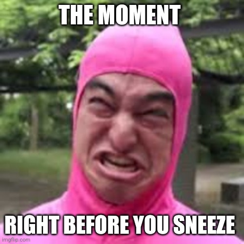 Just before you sneeze | THE MOMENT; RIGHT BEFORE YOU SNEEZE | image tagged in pink guy,jpfan102504,relatable | made w/ Imgflip meme maker
