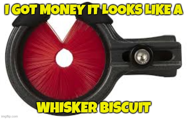 I GOT MONEY IT LOOKS LIKE A WHISKER BISCUIT | made w/ Imgflip meme maker
