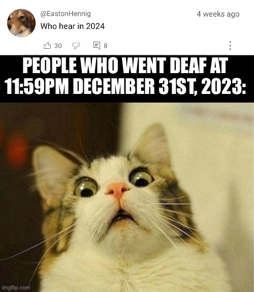 tHaTs OfFeNcIvE | PEOPLE WHO WENT DEAF AT 11:59PM DECEMBER 31ST, 2023: | image tagged in memes,scared cat,2024 | made w/ Imgflip meme maker