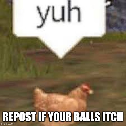 yuh | REPOST IF YOUR BALLS ITCH | image tagged in yuh | made w/ Imgflip meme maker