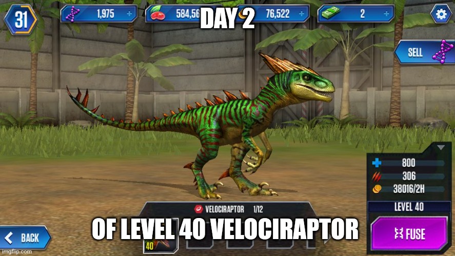 Day 2 of Level 40 velociraptor | DAY 2; OF LEVEL 40 VELOCIRAPTOR | image tagged in jurassic park,jurassic world,jpfan102504,day 2 | made w/ Imgflip meme maker