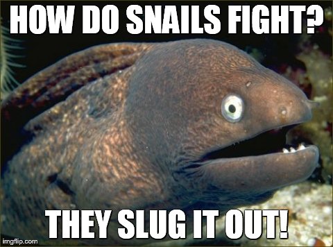 Bad Joke Eel | HOW DO SNAILS FIGHT? THEY SLUG IT OUT! | image tagged in memes,bad joke eel | made w/ Imgflip meme maker