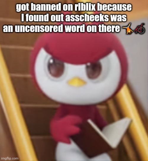 BOOK ❗️ | got banned on riblix because I found out asscheeks was an uncensored word on there 🤸🦽 | image tagged in book | made w/ Imgflip meme maker
