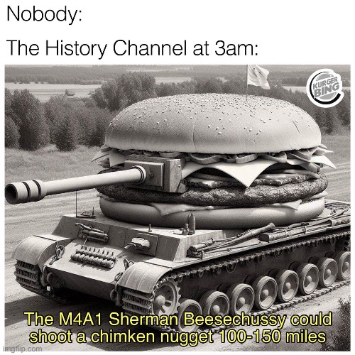 Beesechurger | image tagged in cheeseburger,stolen memes | made w/ Imgflip meme maker