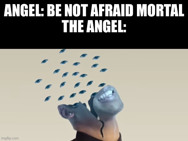 Idk what this image is for or what it means | ANGEL: BE NOT AFRAID MORTAL
THE ANGEL: | image tagged in funny,memes | made w/ Imgflip meme maker