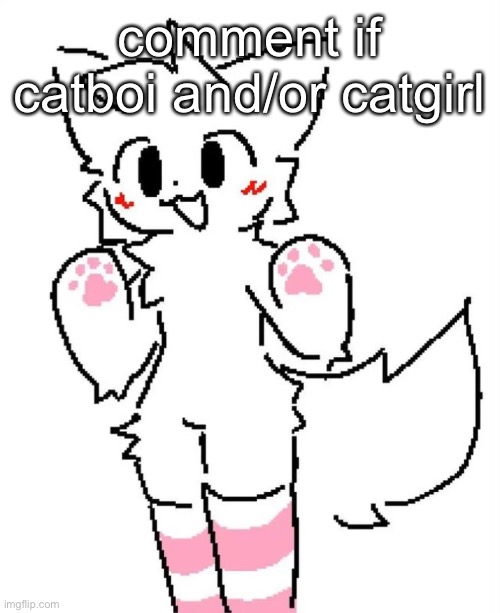 uwu | comment if catboi and/or catgirl | image tagged in boykisser | made w/ Imgflip meme maker