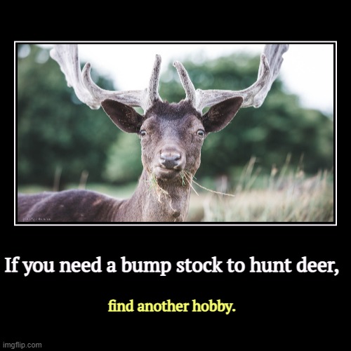 900 rounds a minute? How many schoolchildren can you kill with that? | If you need a bump stock to hunt deer, | find another hobby. | image tagged in funny,demotivationals,bump stock,rifle,gun safety,nra | made w/ Imgflip demotivational maker