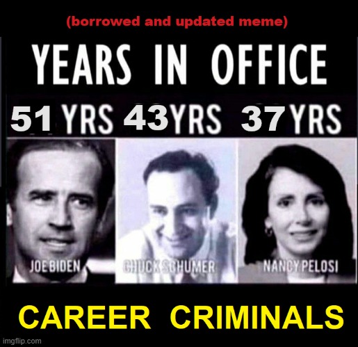 Career Criminals | image tagged in government corruption | made w/ Imgflip meme maker