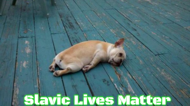 tired dog | Slavic Lives Matter | image tagged in tired dog,slavic | made w/ Imgflip meme maker
