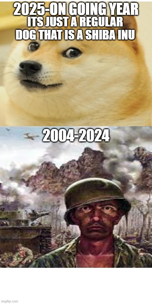 Who remembers doge | 2025-ON GOING YEAR; ITS JUST A REGULAR DOG THAT IS A SHIBA INU; 2004-2024 | image tagged in nostalgia,doge | made w/ Imgflip meme maker