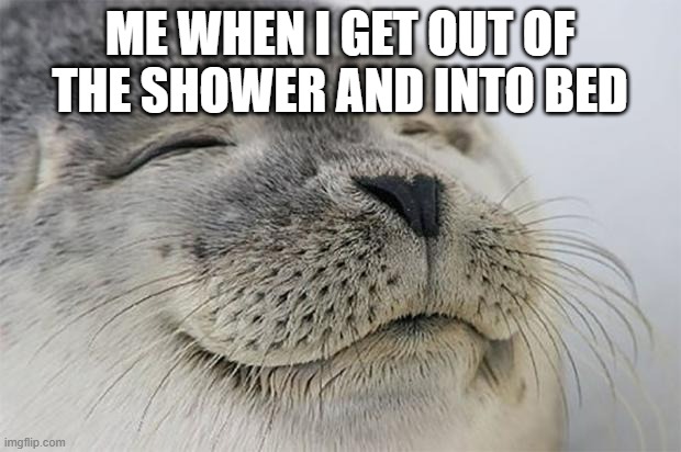 Cozy Meme time | ME WHEN I GET OUT OF THE SHOWER AND INTO BED | image tagged in memes,satisfied seal | made w/ Imgflip meme maker