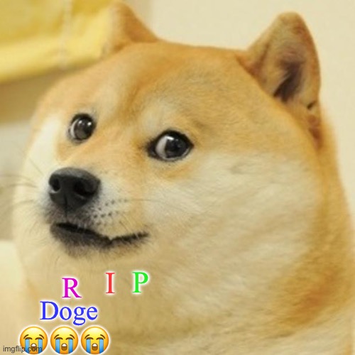 We will always remember you | P; I; R; Doge; 😭😭😭 | image tagged in memes,doge | made w/ Imgflip meme maker