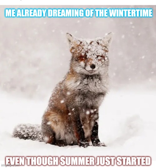 ME ALREADY DREAMING OF THE WINTERTIME; EVEN THOUGH SUMMER JUST STARTED | image tagged in winter is here,snow day,blues | made w/ Imgflip meme maker