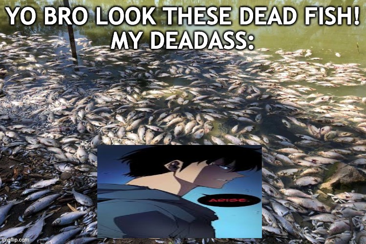 shadow fish | YO BRO LOOK THESE DEAD FISH!
MY DEADASS: | image tagged in menindee dead fish | made w/ Imgflip meme maker