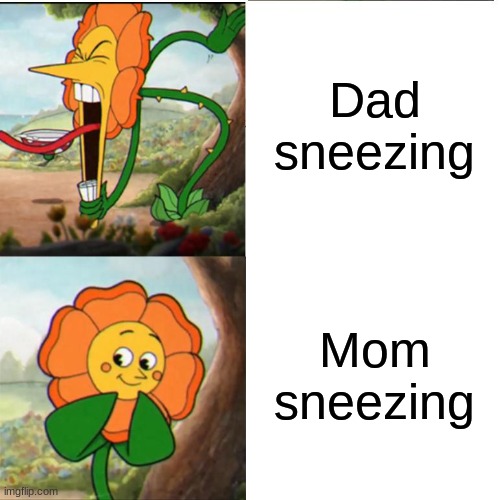 why do dads sneeze so loud | Dad sneezing; Mom sneezing | image tagged in cuphead flower,memes,funny,relatable | made w/ Imgflip meme maker