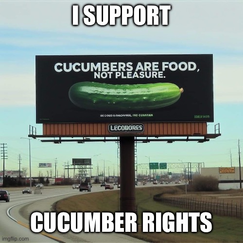 Cucumbers have rights | I SUPPORT; CUCUMBER RIGHTS | image tagged in cucumber | made w/ Imgflip meme maker