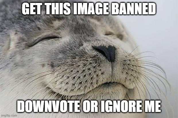GET ME BANNED | GET THIS IMAGE BANNED; DOWNVOTE OR IGNORE ME | image tagged in memes,satisfied seal | made w/ Imgflip meme maker