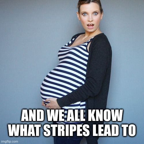 Striped and Pregnant | AND WE ALL KNOW WHAT STRIPES LEAD TO | image tagged in striped and pregnant | made w/ Imgflip meme maker