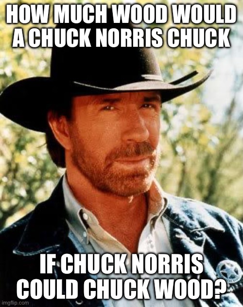 Impossible to answer | HOW MUCH WOOD WOULD A CHUCK NORRIS CHUCK; IF CHUCK NORRIS COULD CHUCK WOOD? | image tagged in memes,chuck norris,infinite,chuck | made w/ Imgflip meme maker