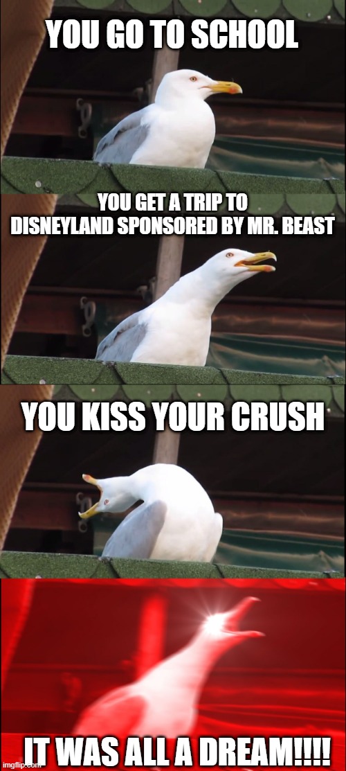 Inhaling Seagull | YOU GO TO SCHOOL; YOU GET A TRIP TO DISNEYLAND SPONSORED BY MR. BEAST; YOU KISS YOUR CRUSH; IT WAS ALL A DREAM!!!! | image tagged in memes,inhaling seagull | made w/ Imgflip meme maker