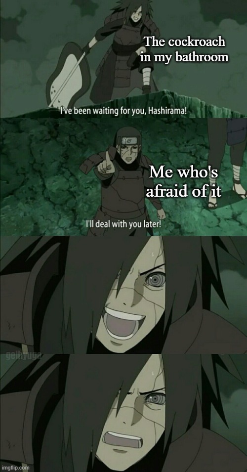 Hashirama and Madara | The cockroach in my bathroom; Me who's afraid of it | image tagged in hashirama and madara | made w/ Imgflip meme maker