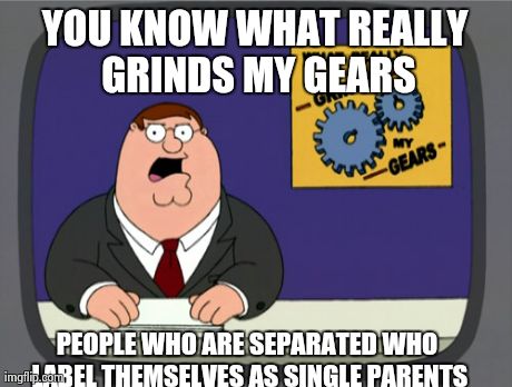 Peter Griffin News Meme | YOU KNOW WHAT REALLY GRINDS MY GEARS PEOPLE WHO ARE SEPARATED WHO LABEL THEMSELVES AS SINGLE PARENTS | image tagged in memes,peter griffin news | made w/ Imgflip meme maker