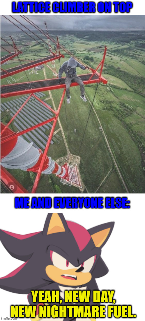 Freeclimbing meme | LATTICE CLIMBER ON TOP; ME AND EVERYONE ELSE:; YEAH, NEW DAY, NEW NIGHTMARE FUEL. | image tagged in gittersteigen,shadow,lattice climbing,meme,sonic the hedgehog,memes | made w/ Imgflip meme maker