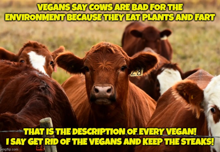 Vegan Farts count to | VEGANS SAY COWS ARE BAD FOR THE ENVIRONMENT BECAUSE THEY EAT PLANTS AND FART; THAT IS THE DESCRIPTION OF EVERY VEGAN! I SAY GET RID OF THE VEGANS AND KEEP THE STEAKS! | image tagged in vegan,veganism,carnivores,steak,beef,farts | made w/ Imgflip meme maker