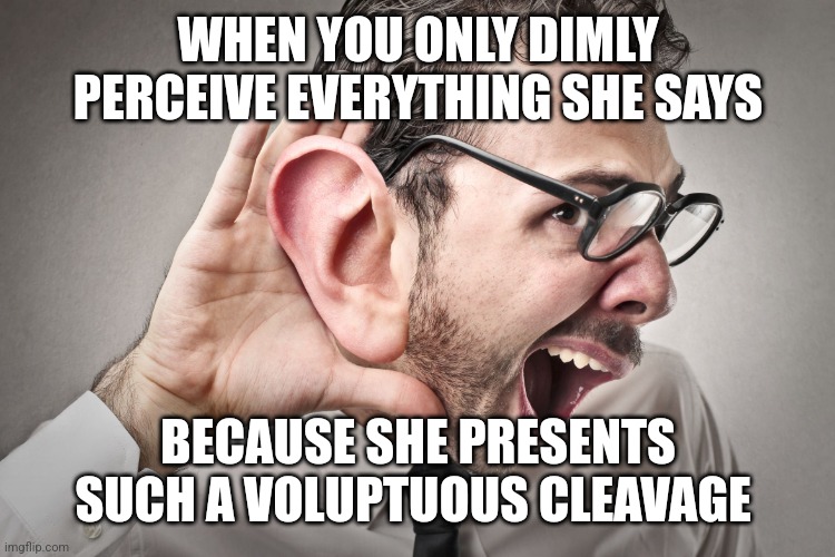WHEN YOU ONLY DIMLY PERCEIVE EVERYTHING SHE SAYS BECAUSE SHE PRESENTS SUCH A VOLUPTUOUS CLEAVAGE | image tagged in i can't hear you | made w/ Imgflip meme maker