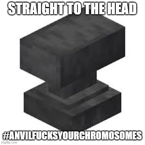 STRAIGHT TO THE HEAD #ANVILFUCKSYOURCHROMOSOMES | image tagged in minecraft anvil | made w/ Imgflip meme maker